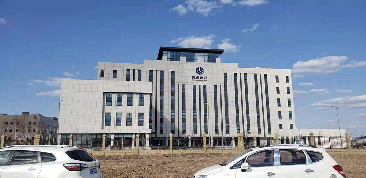 齊魯制藥有限公司 
